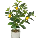 product3